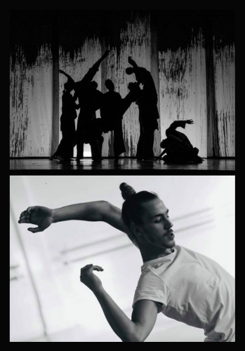 IMMAGINE IN EVIDENZA